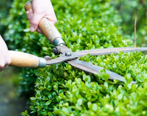 Grounds Maintenance